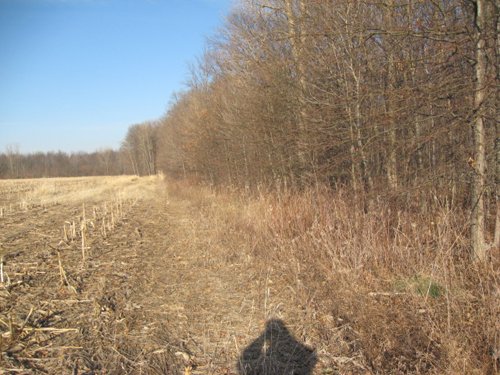 Property photo 27 - 44 Acres Offered in 3 Tracts